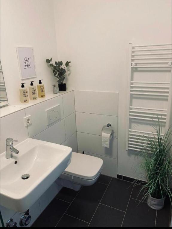Emperors Baths - Cozy Modern Apartment
